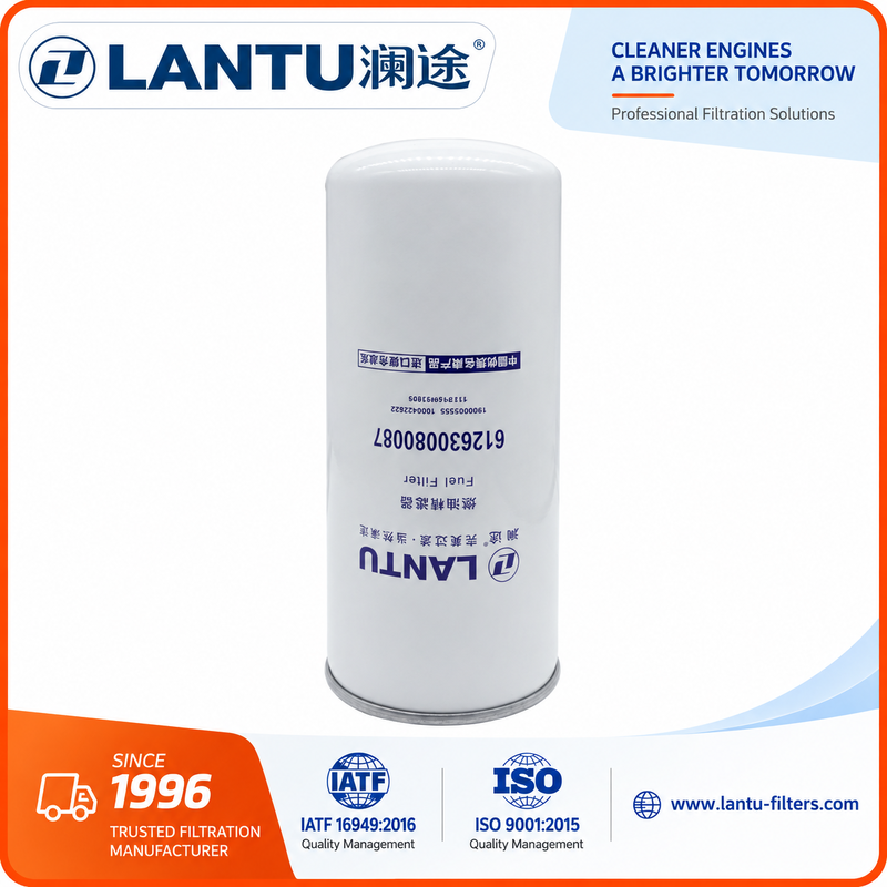 Lantu Diesel Fuel Filter 612630080087 1000053555 1000422382  1117050B81DM FC71090  R010018  Manufacturer