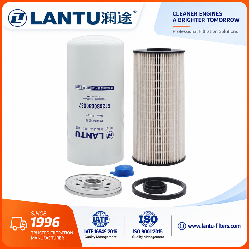 Lantu Diesel Fuel Filter 612630080087 1000053555 1000422382  1117050B81DM FC71090  R010018  Manufacturer