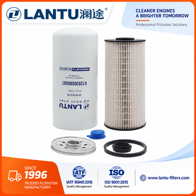 Lantu Diesel Fuel Filter 612630080087 1000053555 1000422382  1117050B81DM FC71090  R010018  Manufacturer